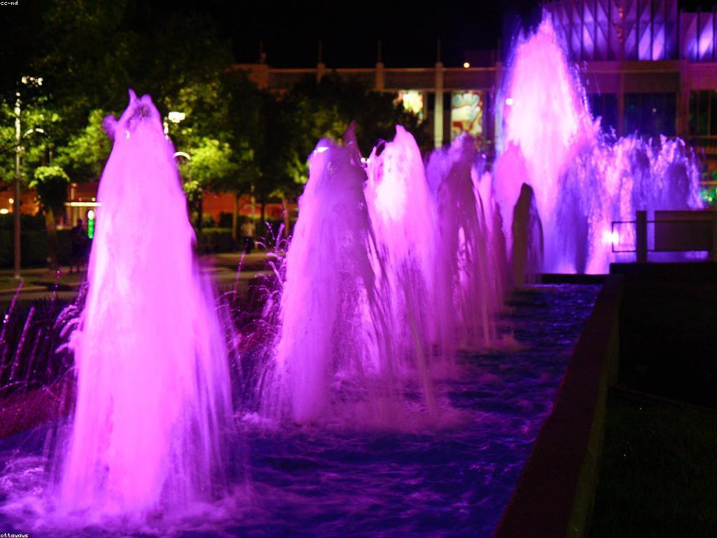 យុទ្ធសាស្ត្រ ដើម្បីឈ្នះការប្រកួតកាស៊ីណូ