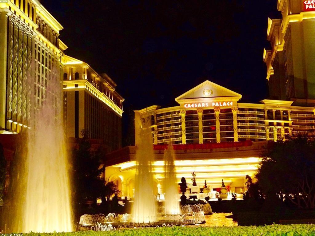 យុទ្ធសាស្ត្រពិសេសសម្រាប់ការប្រកួតកាស៊ីណូ