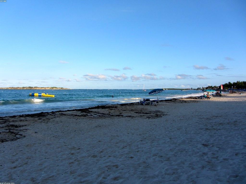 ការយល់ដឹងអំពីវប្បធម៌ការប្រកួតកាស៊ីណូ