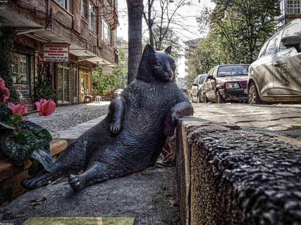 យុទ្ធសាស្ត្រពិសេសសម្រាប់ការប្រកួតកាស៊ីណូ